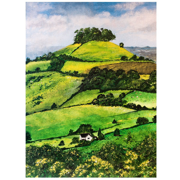 Kelston Roundhill Art by Lynette Bower at The Bath Art Shop