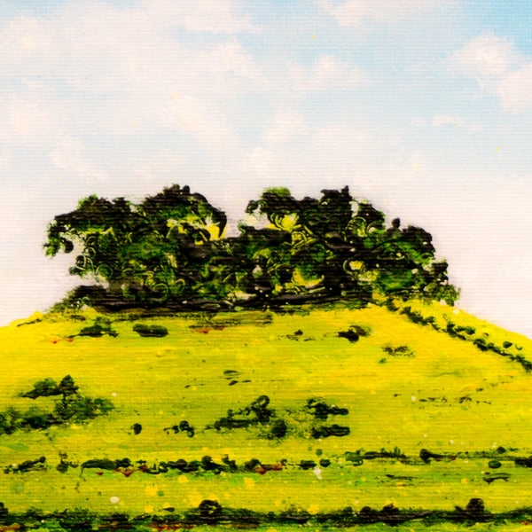 Kelston Roundhill Art by Lynette Bower at The Bath Art Shop